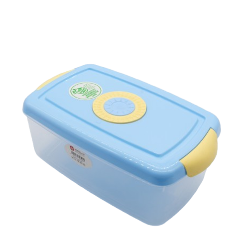food container 2.5L