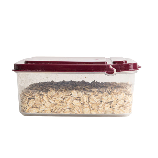 Multipurpose Small container 600 ml