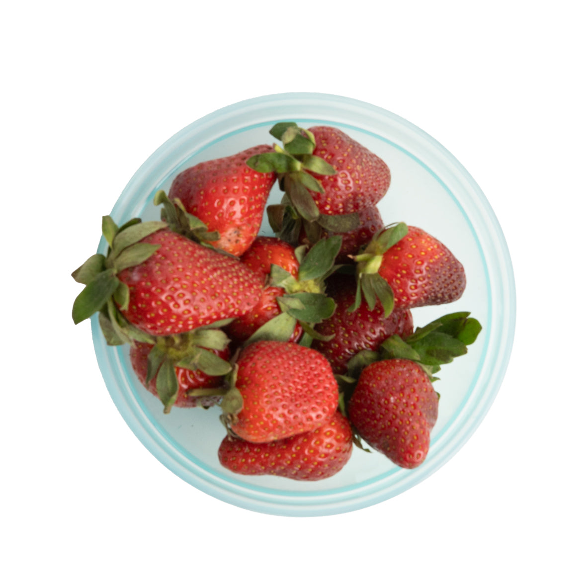 small bowl translucent (edged)