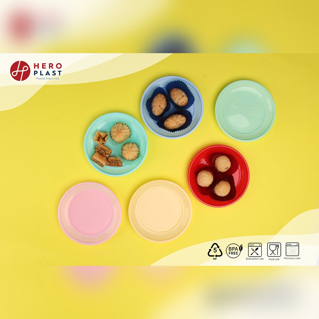 6 Picnic Plates (H11)