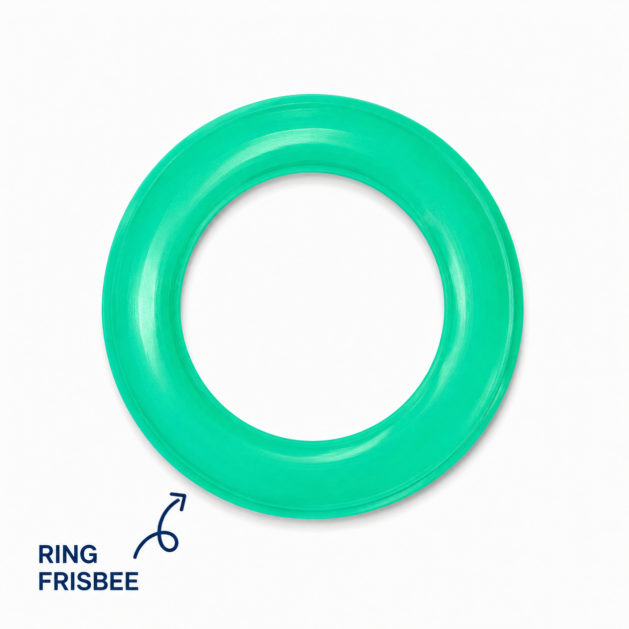 Ring Frisbee (B72)