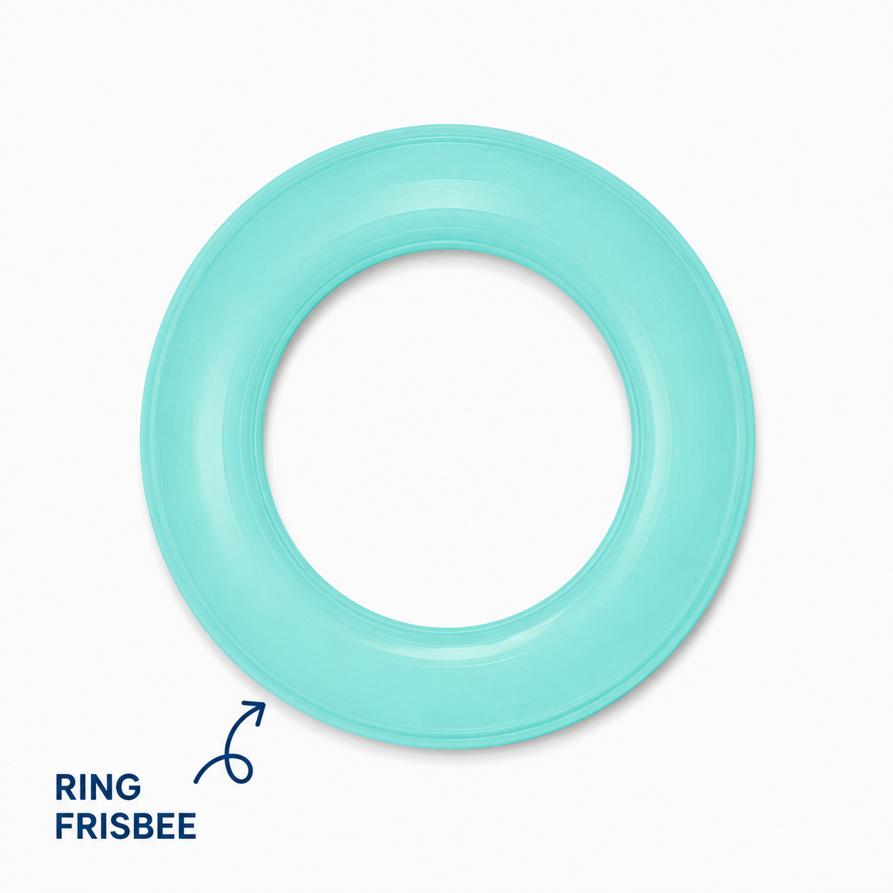 Ring Frisbee (B72)