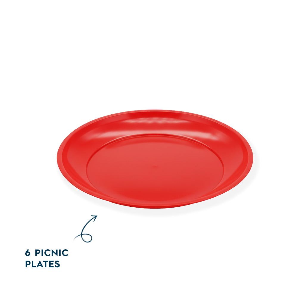 6 Picnic Plates