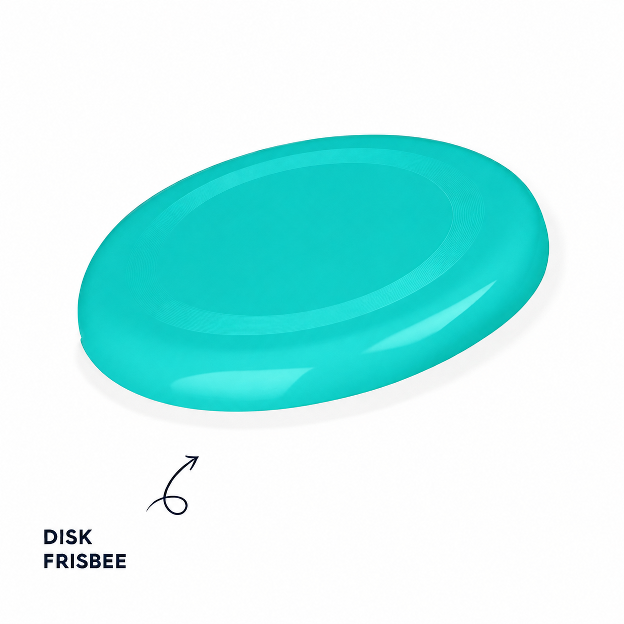 Disk Frizbisi