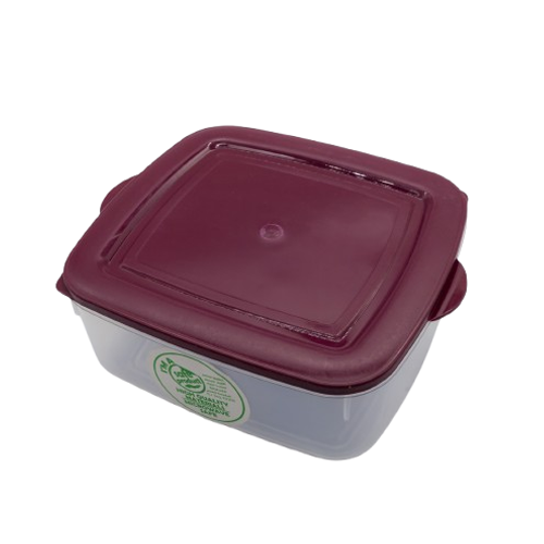 3l Fridge continer