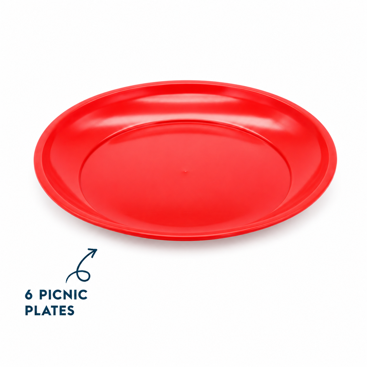 6 Picnic Plates (H11)
