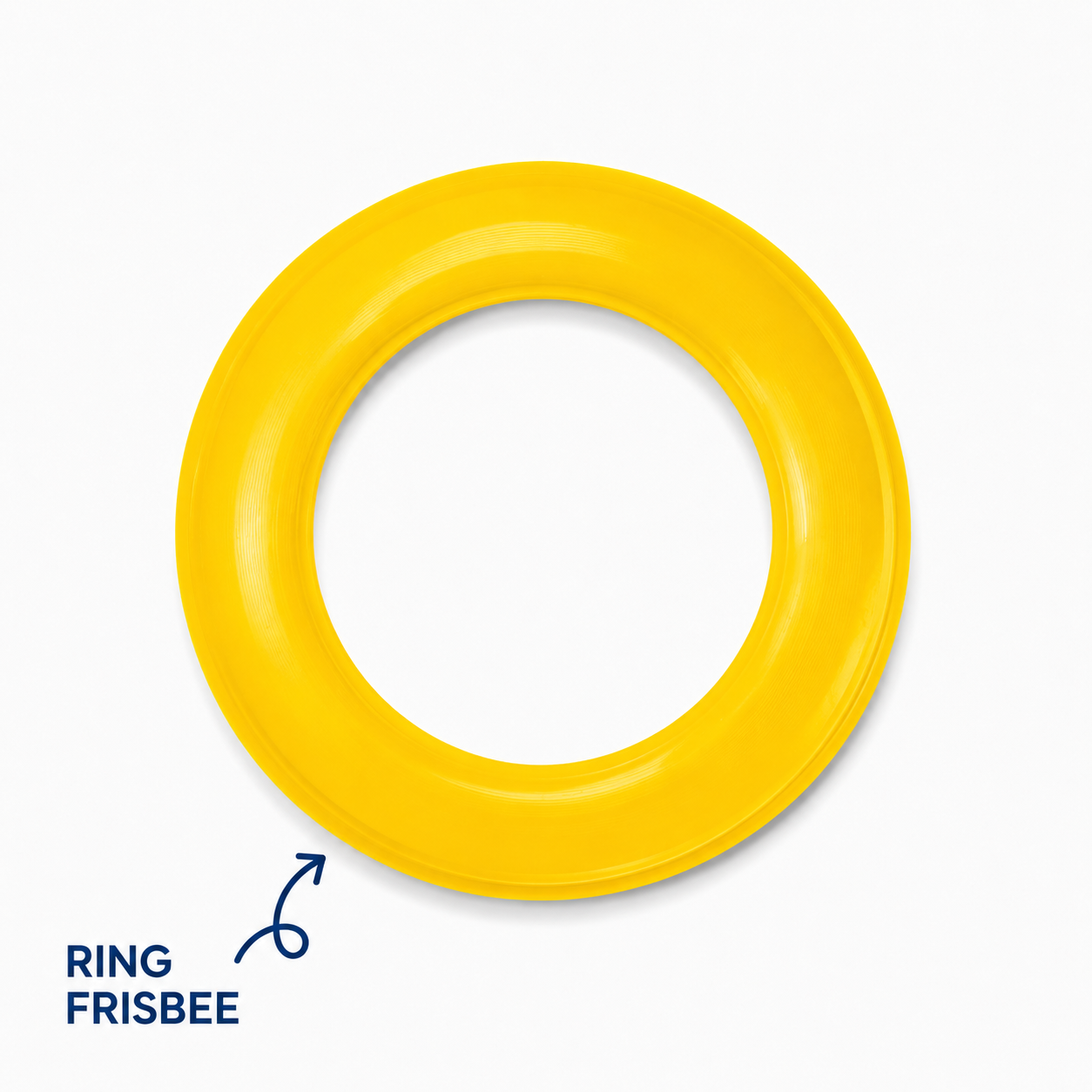 Ring Frisbee (B72)