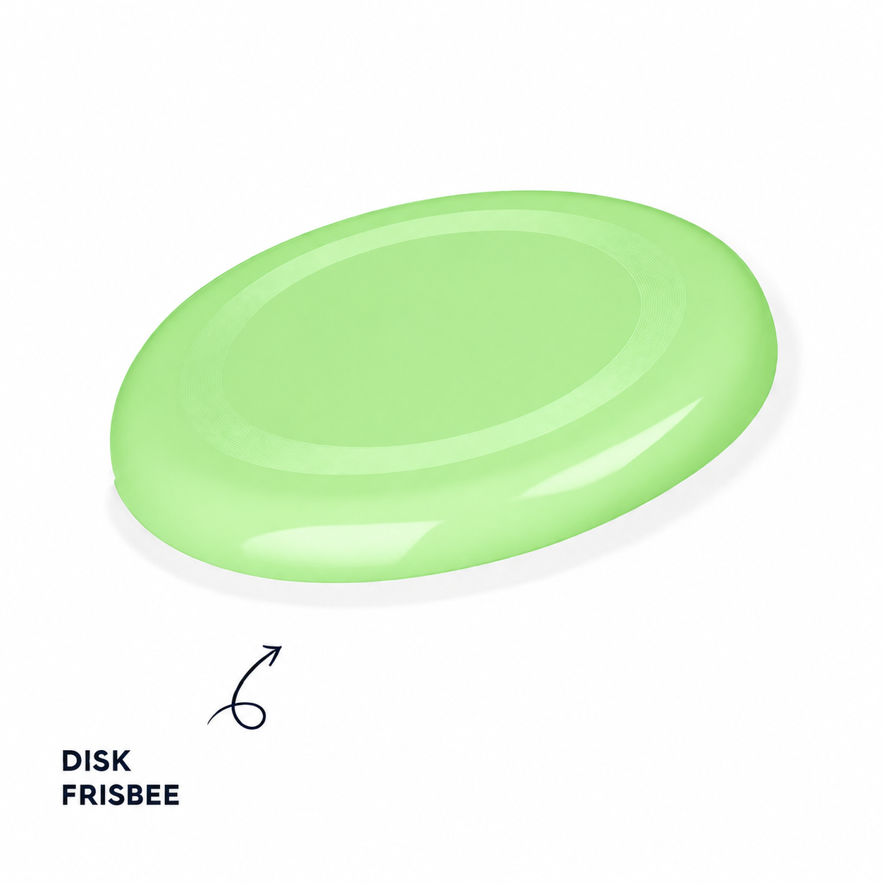 Disk Frisbee (B79)