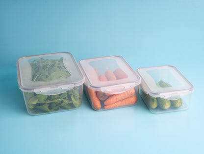 Fridge Container Large Set 3