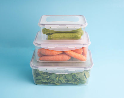 Fridge Container Large Set 3