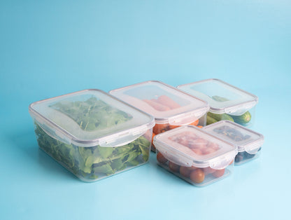 Rectangular Food Containers (5)