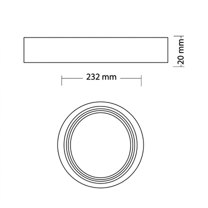 Disk Frizbisi
