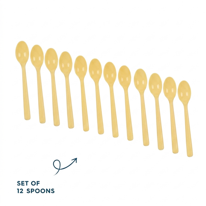 Set of 12 Spoons (K09)