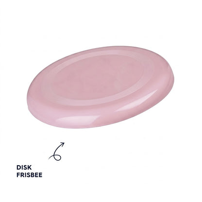 Disk Frizbisi